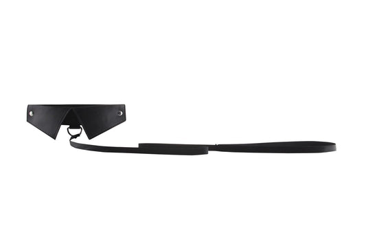 Classic Collar W / Leash - Black OU-OU144BLK