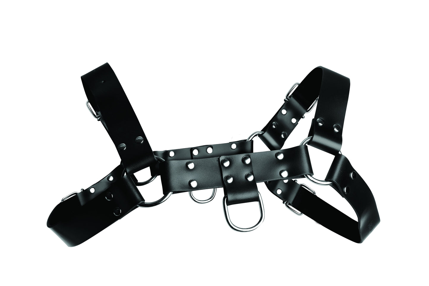 English Bull Dog Harness STR-AD681