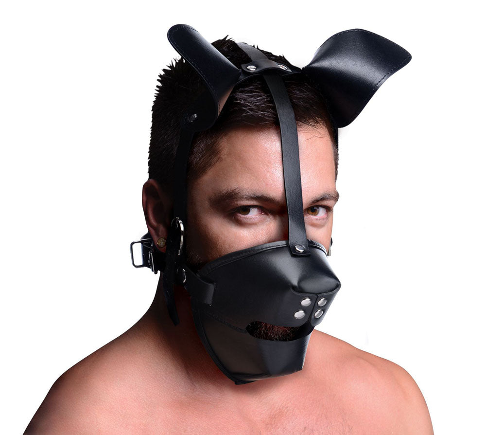 Pup Puppy Play Hood and Breathable Ball Gag MS-AE766