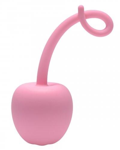 Pig Tail Silicone Anal Plug FR-AE175